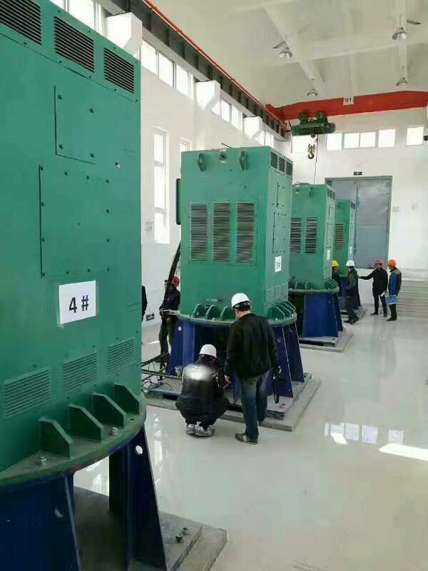 YKK5603-4某污水处理厂使用我厂的立式高压电机安装现场