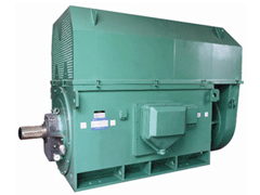 YKK5603-4Y系列6KV高压电机